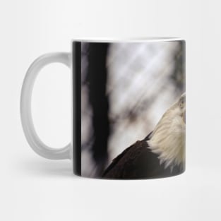 American Patriotic Eagle Mug